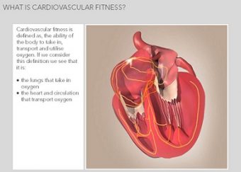 Principles of muscular and cardiovascular fitness
