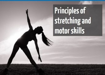 Principles of stretching and motor skills online