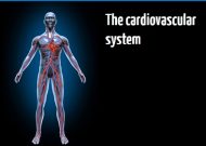 The cardiovascular system online training