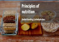 Understanding carbohydrates