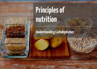 Understanding carbohydrates