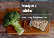 Understanding the digestive system online