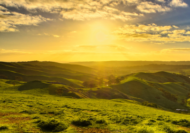 5 ways to wellbeing