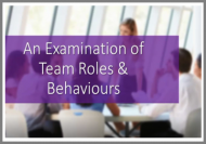 An Examination of Team Roles and Behaviours Online Course