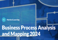 Business Process Analysis and Mapping 2024