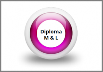 Diploma in Management and Leadership Online Course