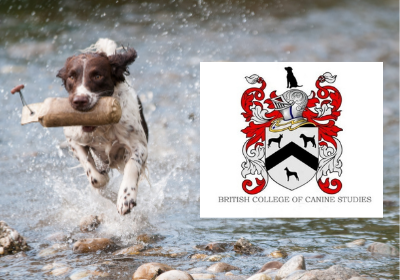 Dog Behaviour Diploma Online Course | eLearning Marketplace Dog Behaviour Diploma Online Course | eLearning Marketplace