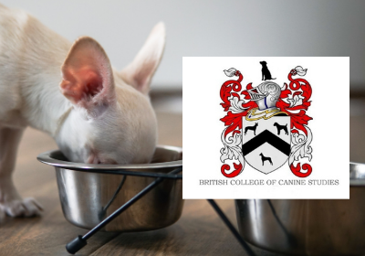 Canine Health & Nutrition Diploma | eLearning Marketplace Canine Health & Nutrition Diploma | eLearning Marketplace