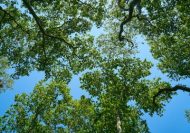 Environmental Awareness Online Course