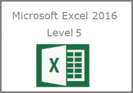 Excel 2016 Level 5