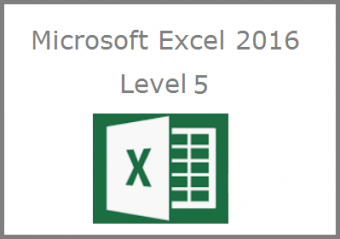 Excel 2016 Level 5