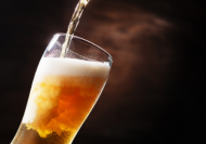 Keeping and Serving Beer Online Course eLearning Marketplace