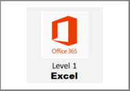 Office 365_Excel Level 1