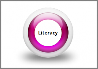 Level 3 Literacy and Language for Teachers Online Course