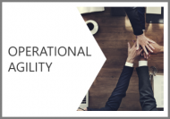 Operational Agility Online Course