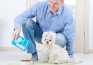 Pet Nurtition Online Course