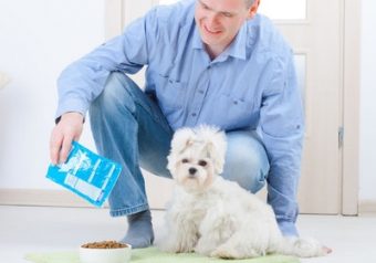 Pet Nurtition Online Course