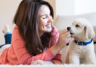 Pet Psychology Diploma Online Course
