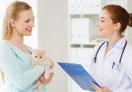 Vet Assistant Diploma Online Course