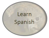 spanish courses