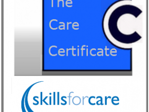 Approved online Care Certificate