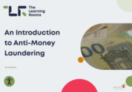 An introduction to anti-money laundering