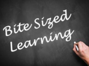 Bite Sized Learning