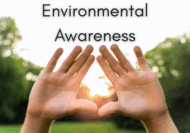 Environmental Awareness