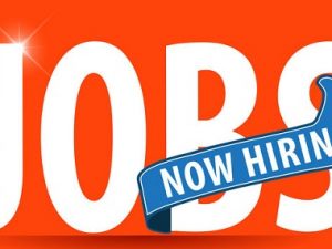 Part-time e-Learning Support and Product Co-ordinatorJob vacancy