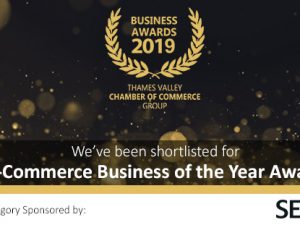 E-Commerce Business of the Year Award