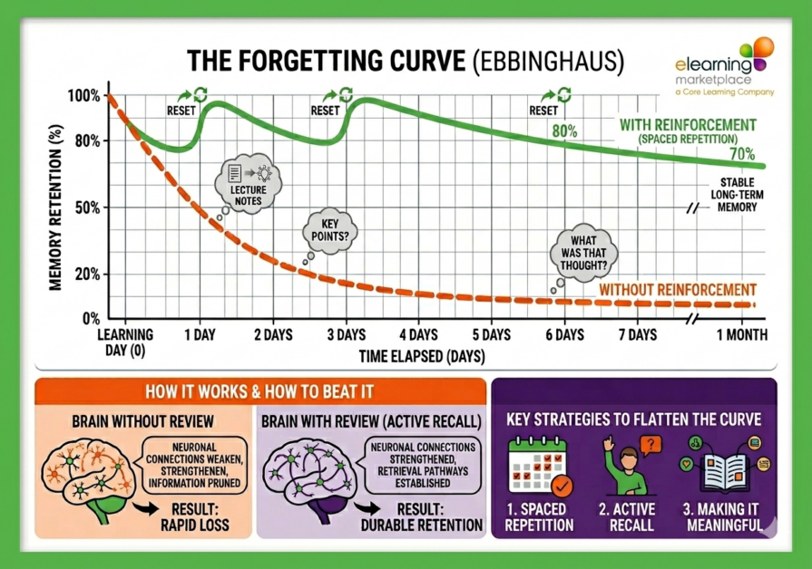 Studies show that there is a massive loss of information over time, referred to as the “forgetting curve”.