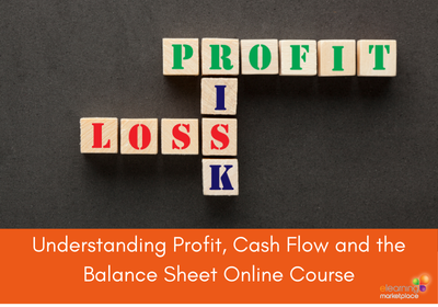 Understanding profit, cash flow and the balance sheet online course for financial literacy